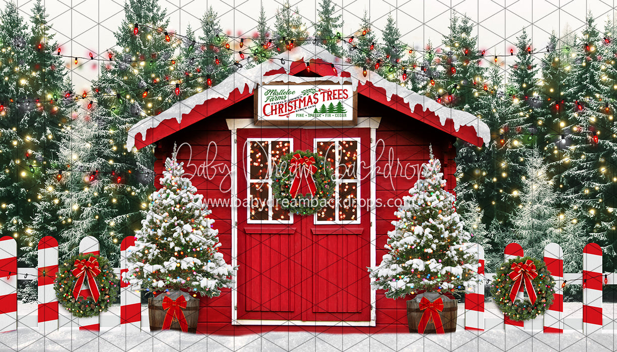 Mistletoe Farms Christmas Trees (JA)