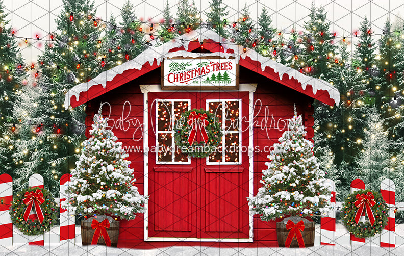 Mistletoe Farms Christmas Trees (JA)