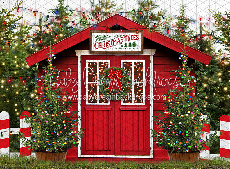 Mistletoe Farms Christmas Trees (Grass)