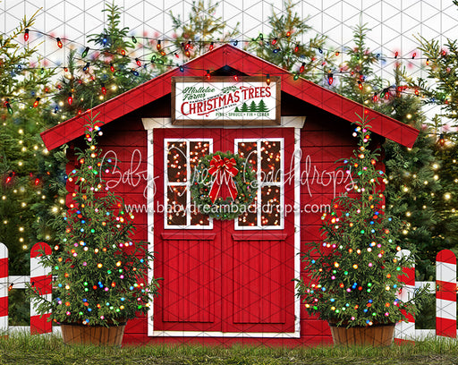 Mistletoe Farms Christmas Trees (Grass)