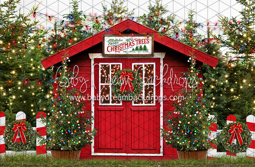 Mistletoe Farms Christmas Trees (Grass)