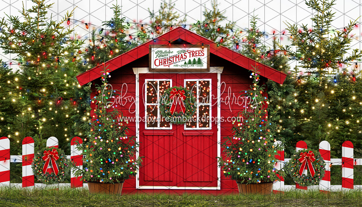 Mistletoe Farms Christmas Trees (Grass)