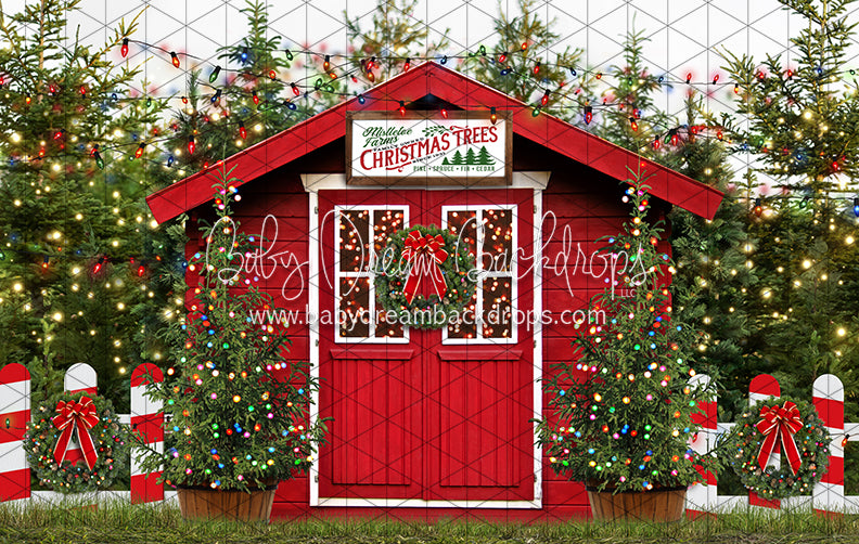 Mistletoe Farms Christmas Trees (Grass)