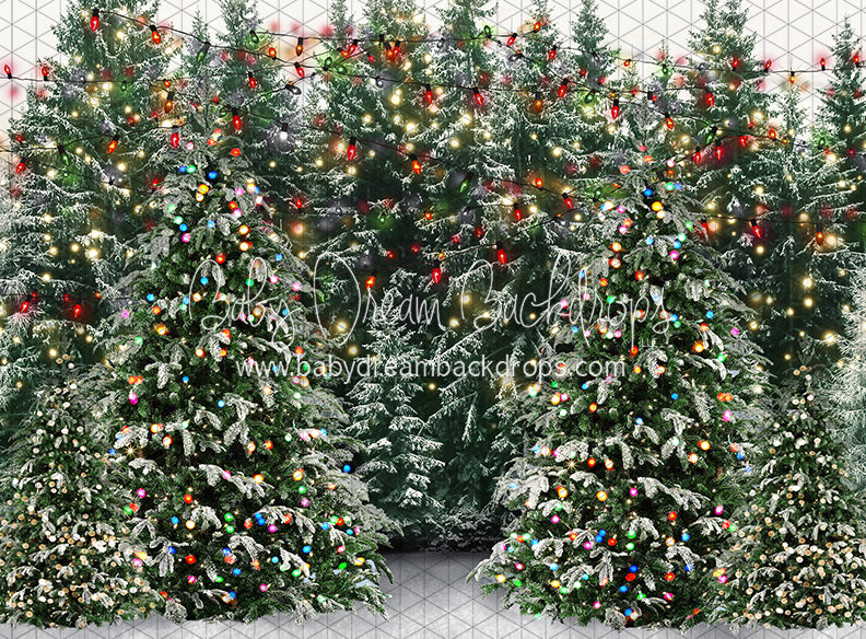 Mistletoe Farms Forest (JA)