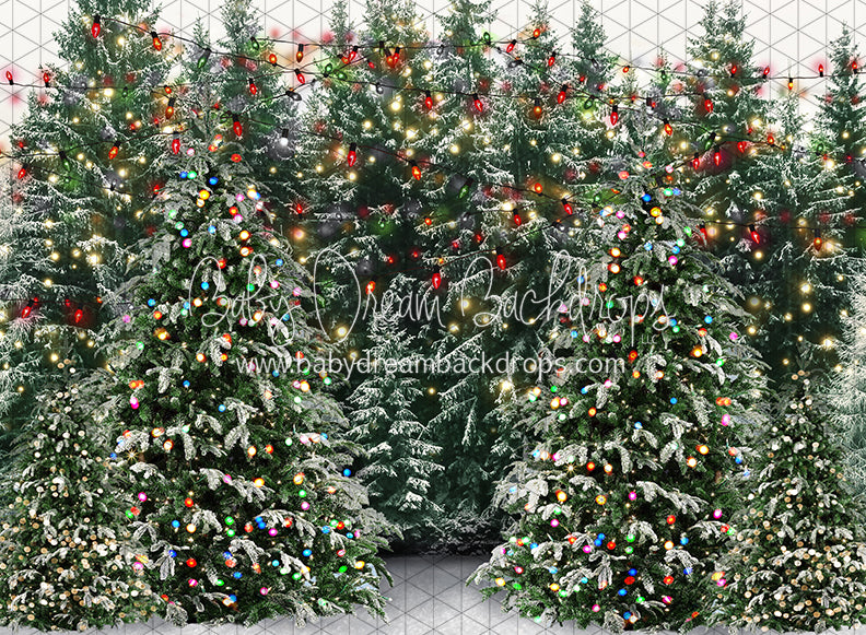 Mistletoe Farms Forest (JA)