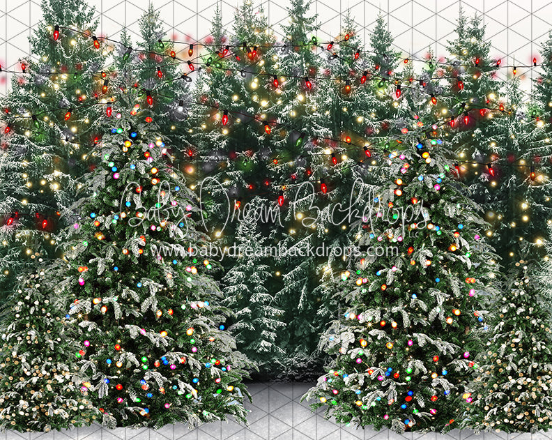 Mistletoe Farms Forest (JA)