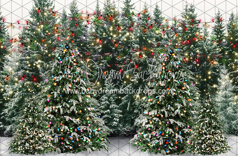 Mistletoe Farms Forest (JA)