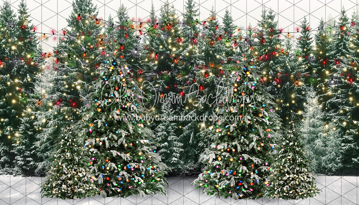 Mistletoe Farms Forest (JA)