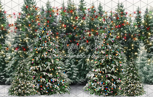 Mistletoe Farms Forest (JA)