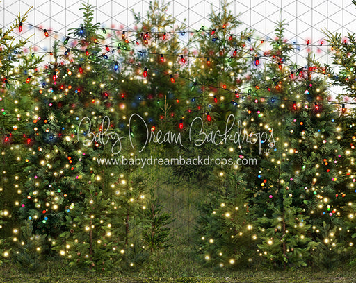 Mistletoe Farms Forest (Grass)