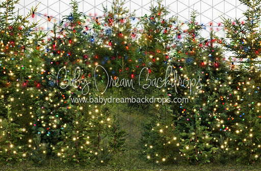 Mistletoe Farms Forest (Grass)