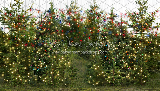 Mistletoe Farms Forest (Grass)