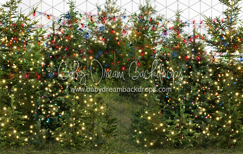 Mistletoe Farms Forest (Grass)