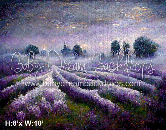 Misty Lavender Field (SM)