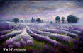 Misty Lavender Field (SM)