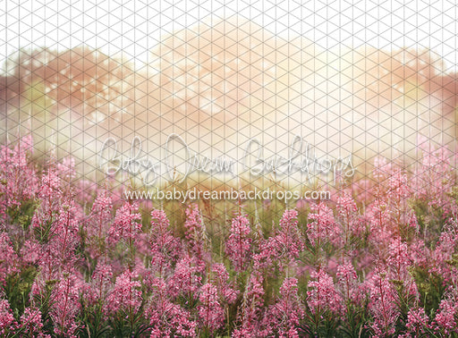 Misty Pink Blooms (CC)