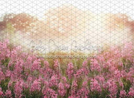 Misty Pink Blooms (CC)