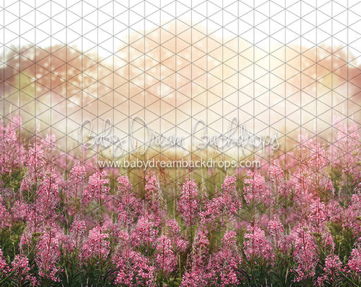 Misty Pink Blooms (CC)