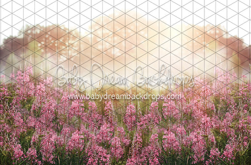 Misty Pink Blooms (CC)