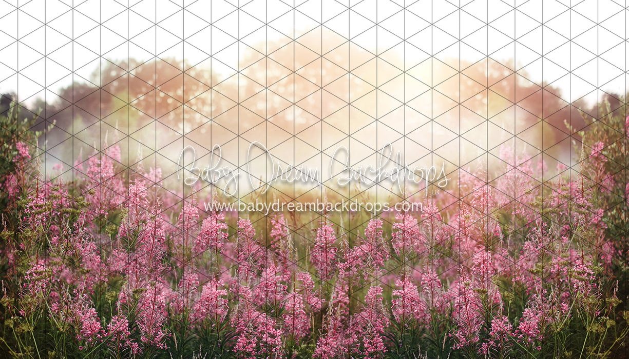 Misty Pink Blooms (CC)