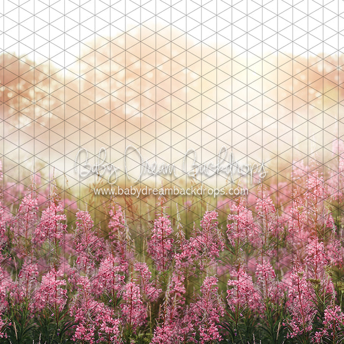 Misty Pink Blooms (CC)