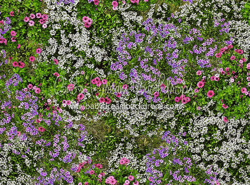 Mixed Floral Floor (CC)