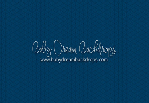 Modest Home Blue Floor (CC)