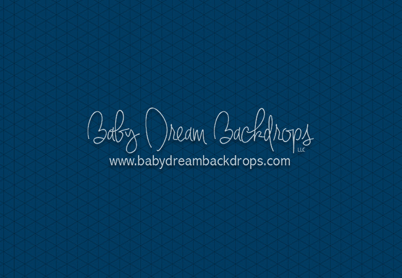 Modest Home Blue Floor (CC)