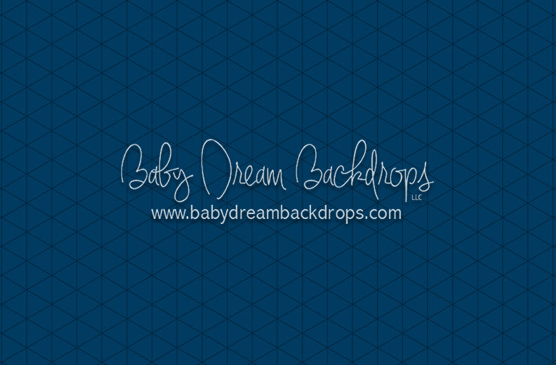 Modest Home Blue Floor (CC)