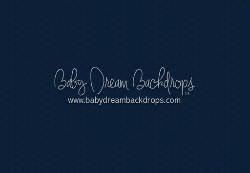 Modest Home Dark Blue Floor (CC)