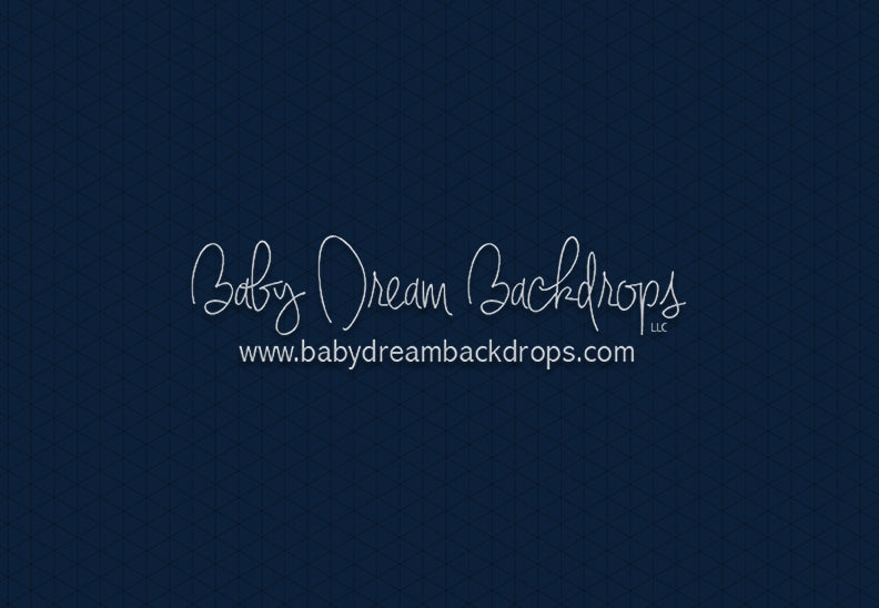 Modest Home Dark Blue Floor (CC)