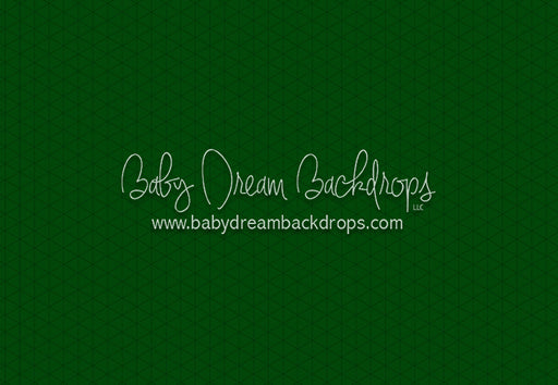 Modest Home Green Floor (CC)