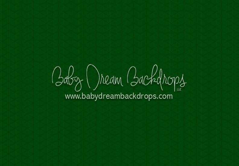 Modest Home Green Floor (CC)