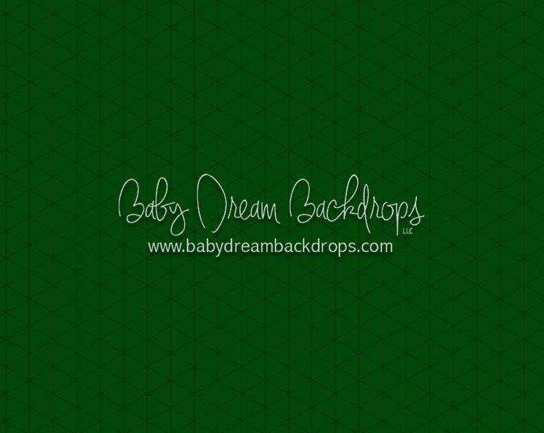 Modest Home Green Floor (CC)