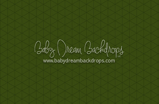 Modest Home Olive Floor (CC)