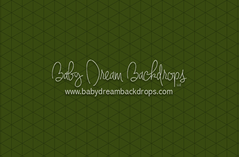 Modest Home Olive Floor (CC)