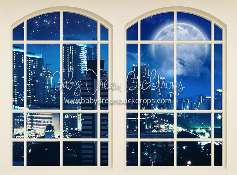 Moonlit City View