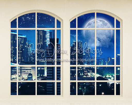 Moonlit City View