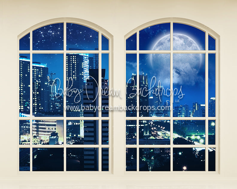 Moonlit City View