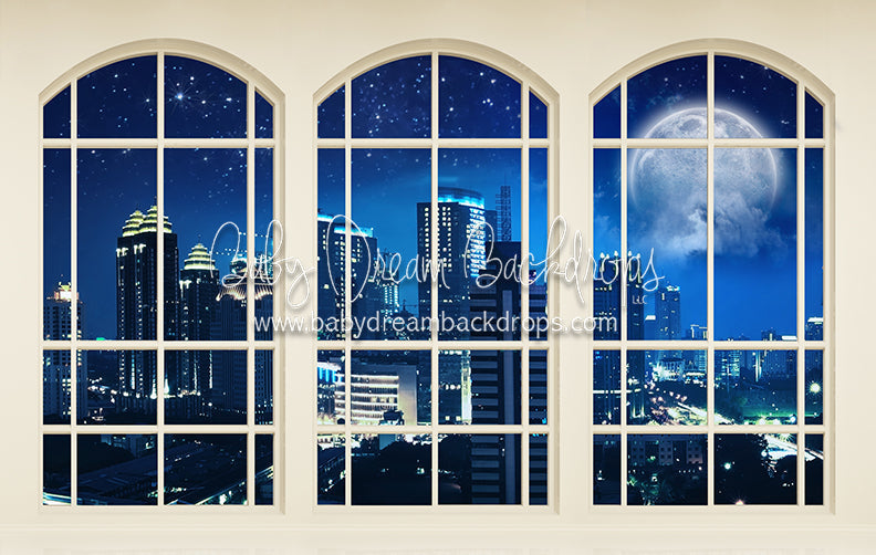 Moonlit City View