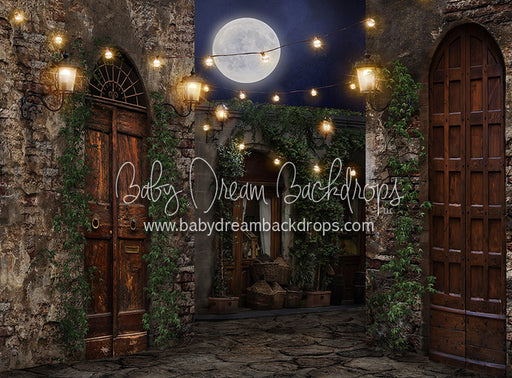 Moonlit Romantic Alley