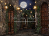Moonlit Romantic Alley