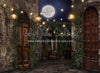 Moonlit Romantic Alley