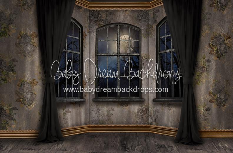 Moonlit Mansion Window