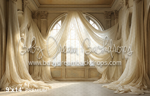 Morning Sunshine through the Window V1 (BD)