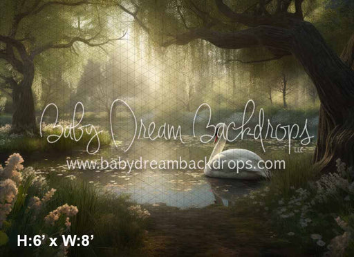 Morning Dew Swan Lake (KS)