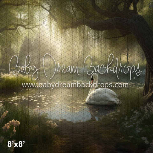 Morning Dew Swan Lake (KS)