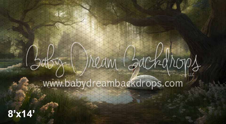 Morning Dew Swan Lake (KS)