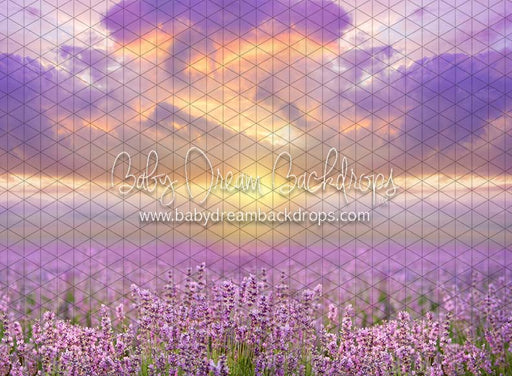 Morning Glow Meadow (CC)