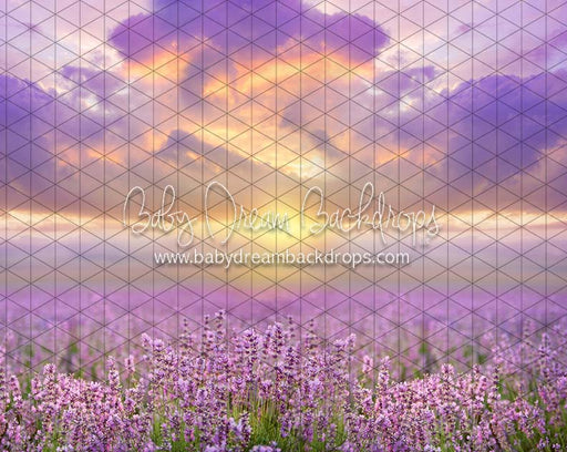 Morning Glow Meadow (CC)